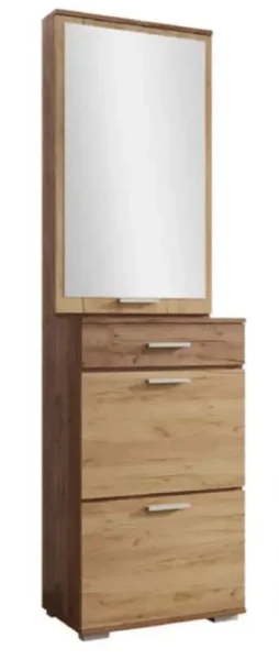 dlya-prikhozhey-shkafy-dlya-obuvi-obuvnoy-shkaf-v-prikhozhuyu-s-zerkalom-viva