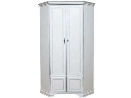 uglovye-shkafy-uglovoy-shkaf-szfn2d