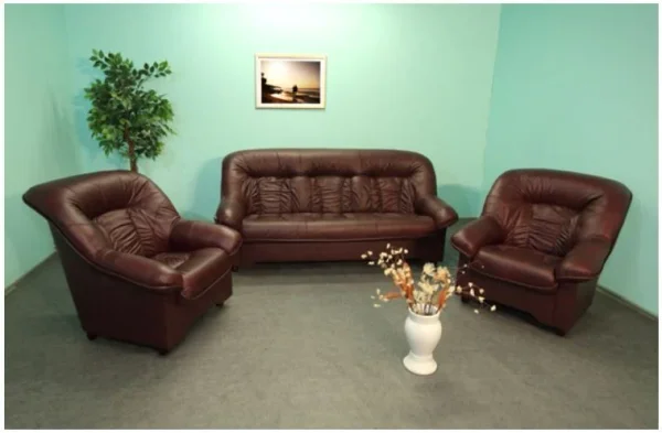 sets-leather-sofa-set-spencer-311