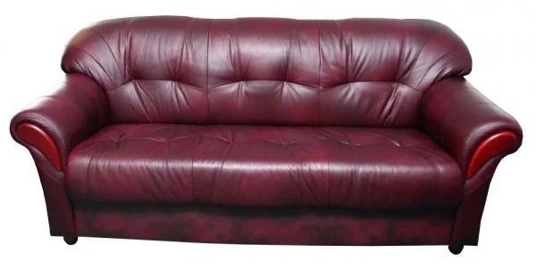 divany-trekhmestnye-kozhanyy-divan-rosa