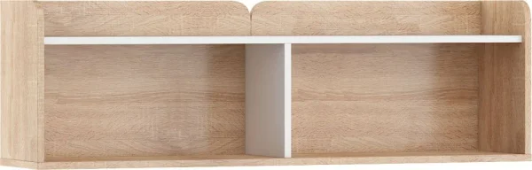 gostinaya-nastennye-polki-nastennaya-polka-dol12