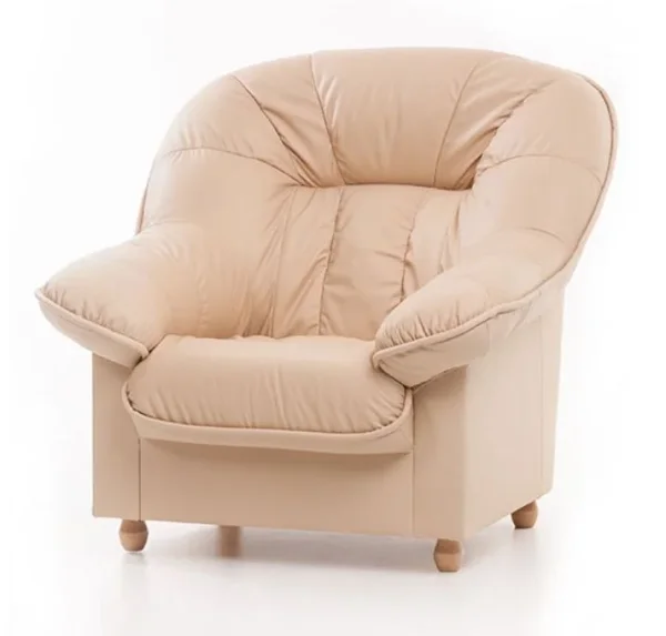 divany-odnomestnye-kozhanoe-kreslo-aleksandra