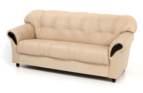 divany-trekhmestnye-kozhanyy-divan-rosa-3