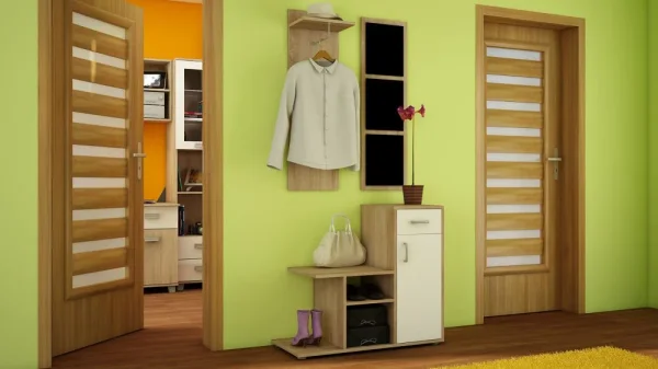 prikhozhie-prikhozhaya-mika