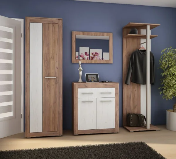 prikhozhie-prikhozhaya-neron