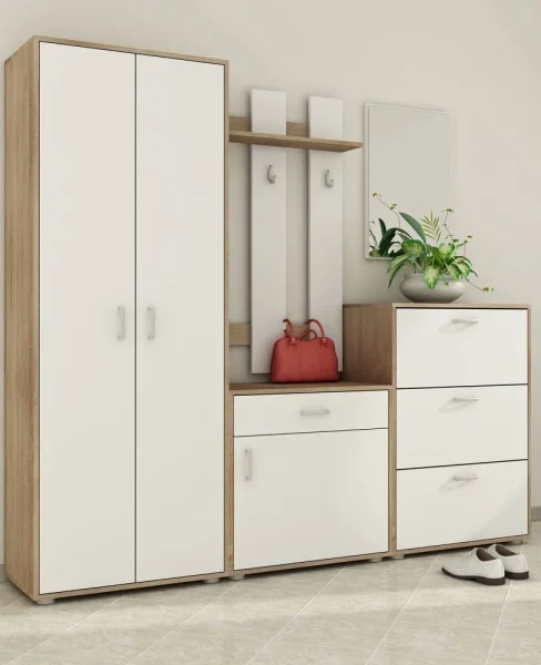 prikhozhie-prikhozhaya-perednyaya-komnata-3