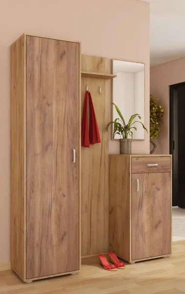 prikhozhie-prikhozhaya-perednyaya-komnata-4