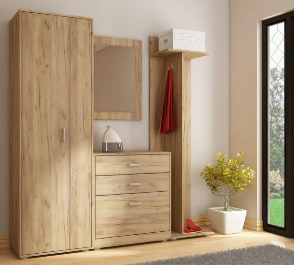 prikhozhie-prikhozhaya-perednyaya-komnata-6