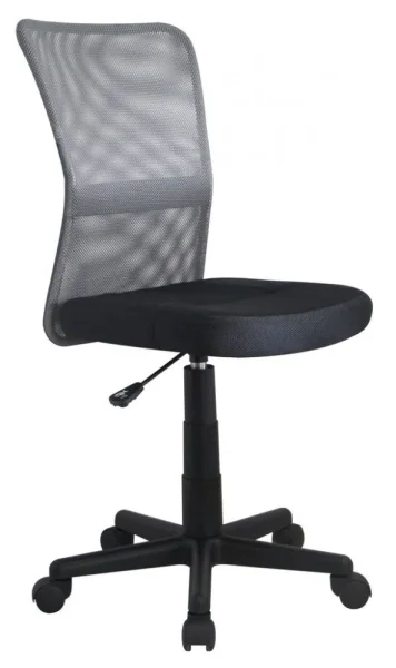 computer-chairs-computer-chair-dingo-grey-black