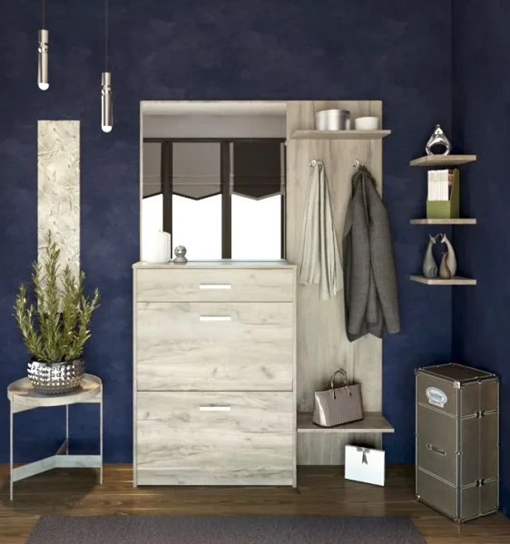 prikhozhie-prikhozhaya-denver